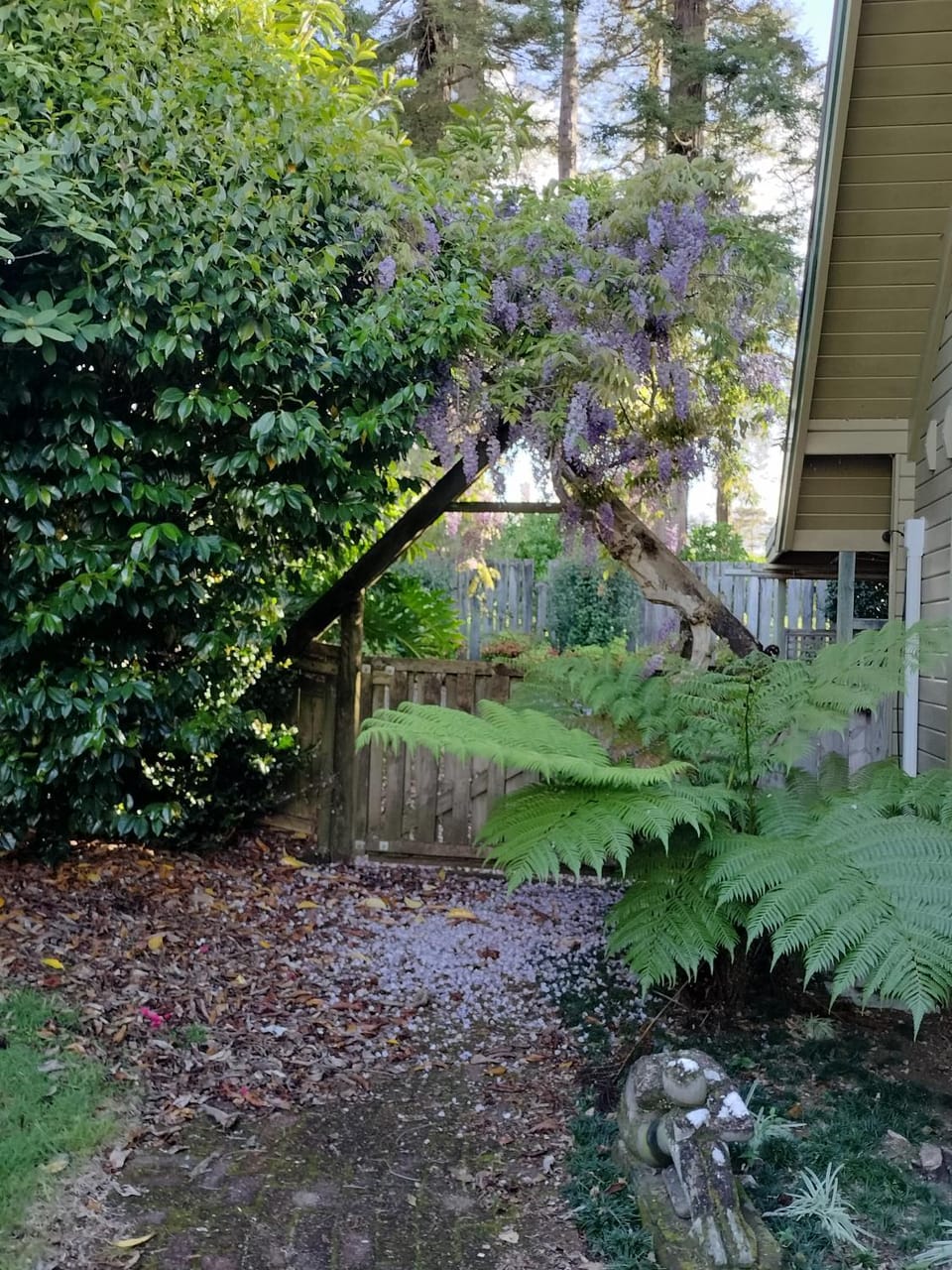 Hawkings Lodge House in Northland