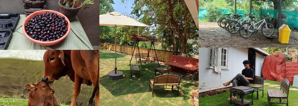 Garden, group of guests