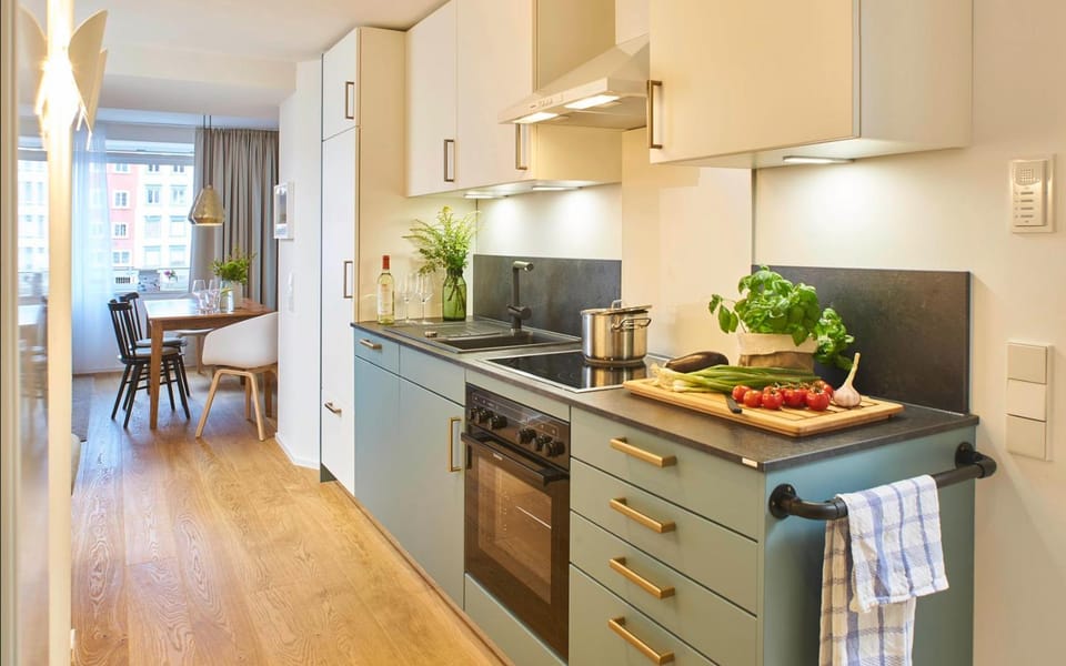 Kitchen or kitchenette, dishwasher, oven, stove