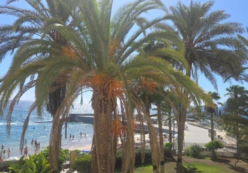 Arguinegin 2 Bedroom Apartment Ocean View Apartment in Arguineguín