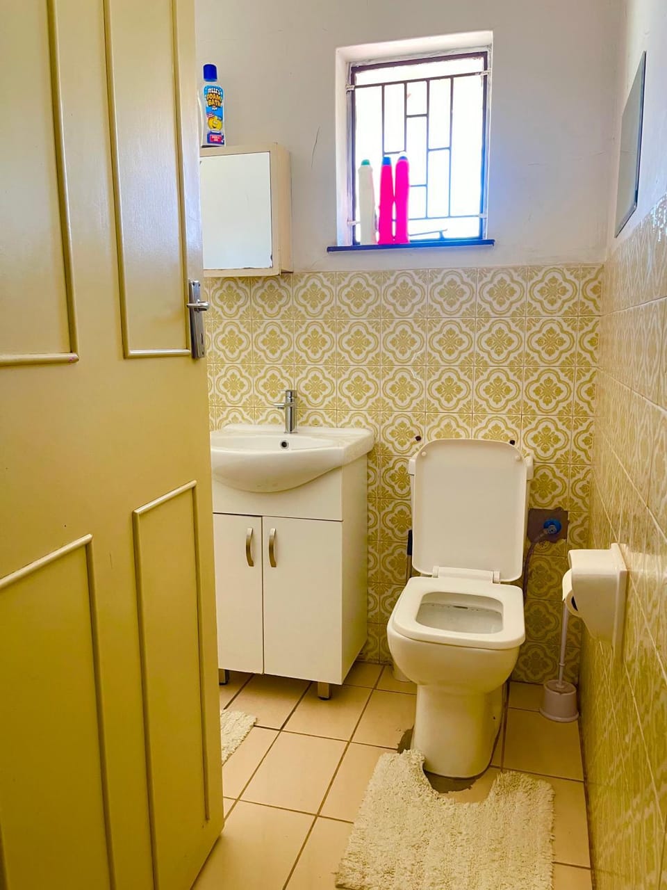 Inocova Fly House in Gauteng