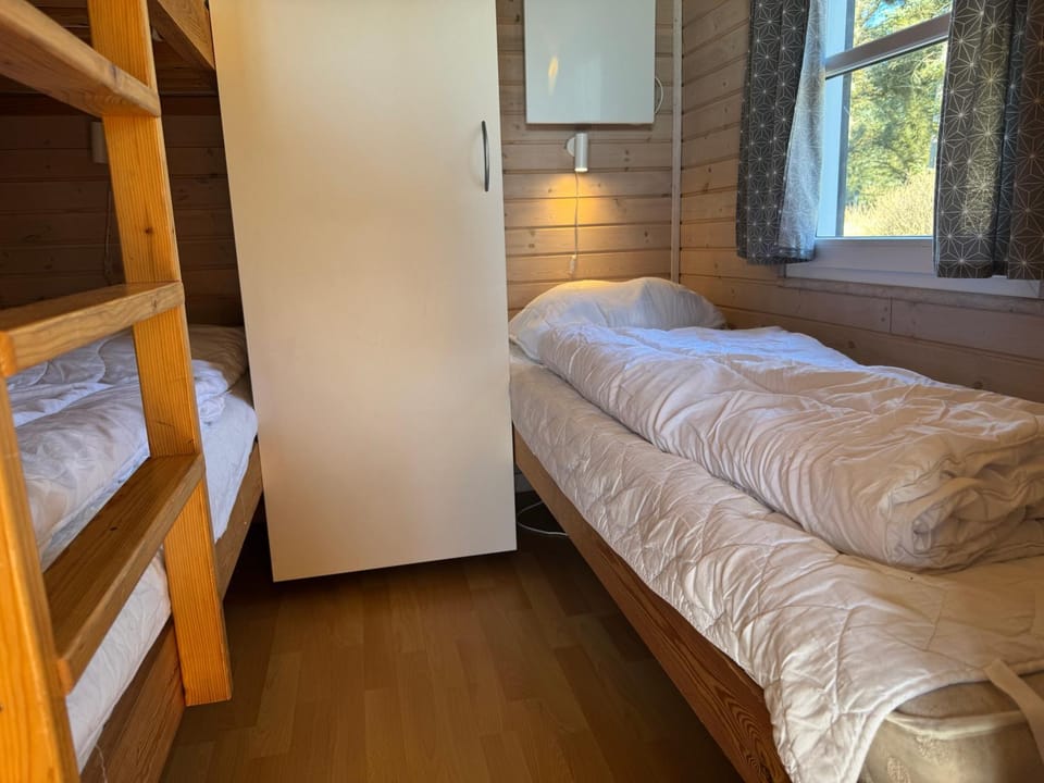 Bed, Photo of the whole room, Bedroom, bunk bed