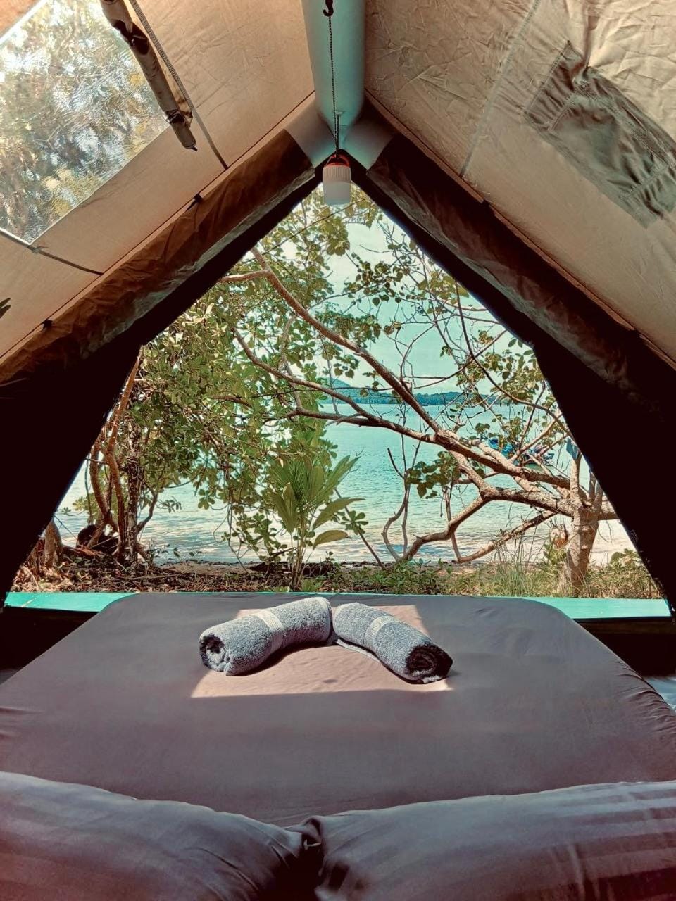 Bed, Natural landscape, Photo of the whole room, Bedroom