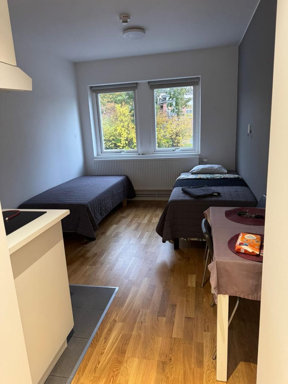 Bed, Kitchen or kitchenette, Living room, Photo of the whole room, Seating area, Bedroom
