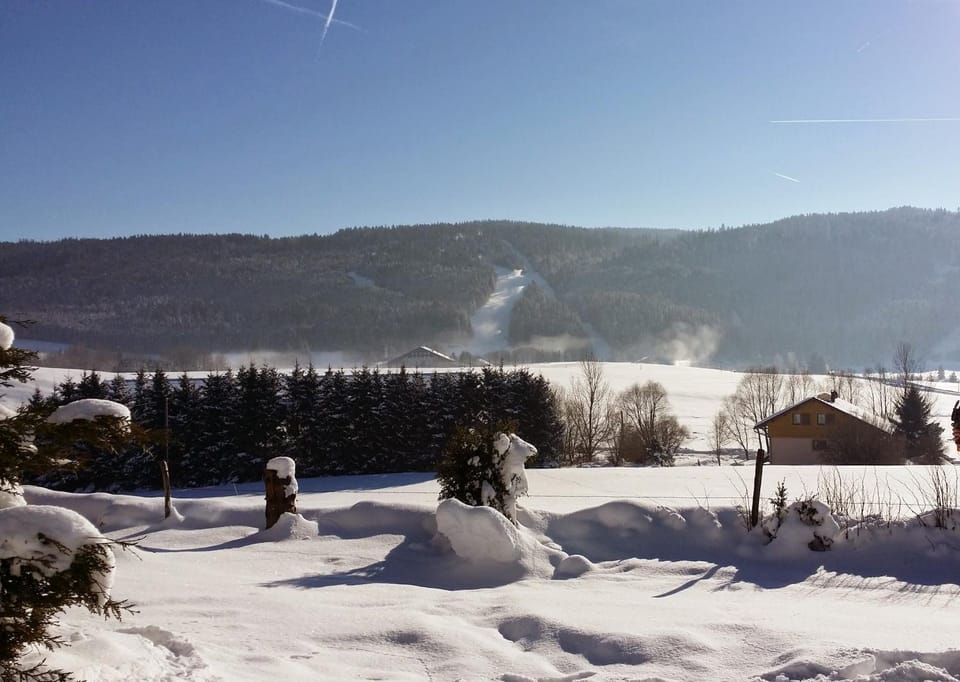 Winter, Mountain view