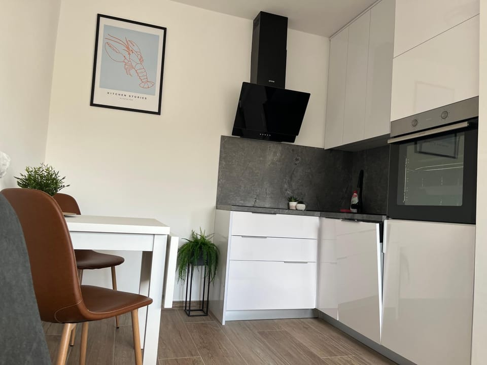 Kitchen or kitchenette, oven, stove