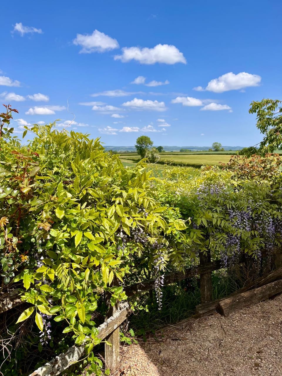 Spring, Natural landscape, Garden