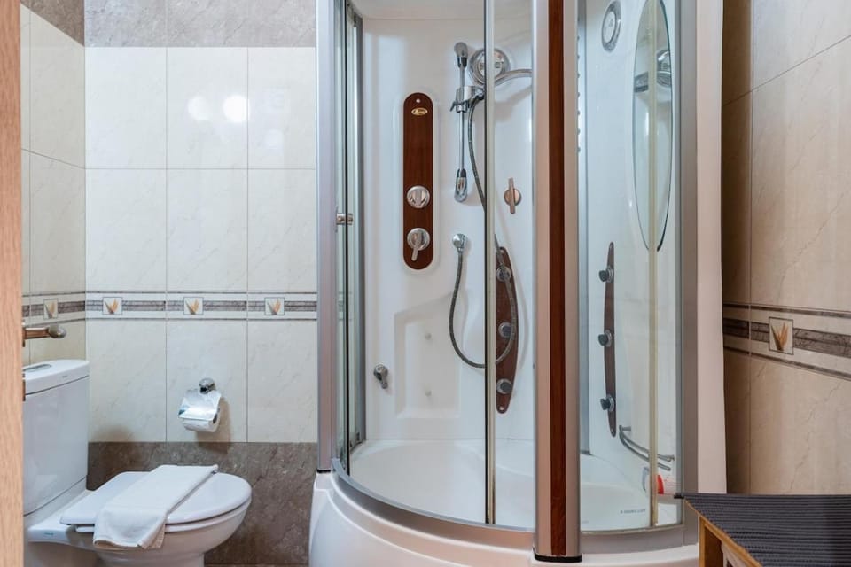 Shower, Toilet, Bathroom, Bath, bidet, towels