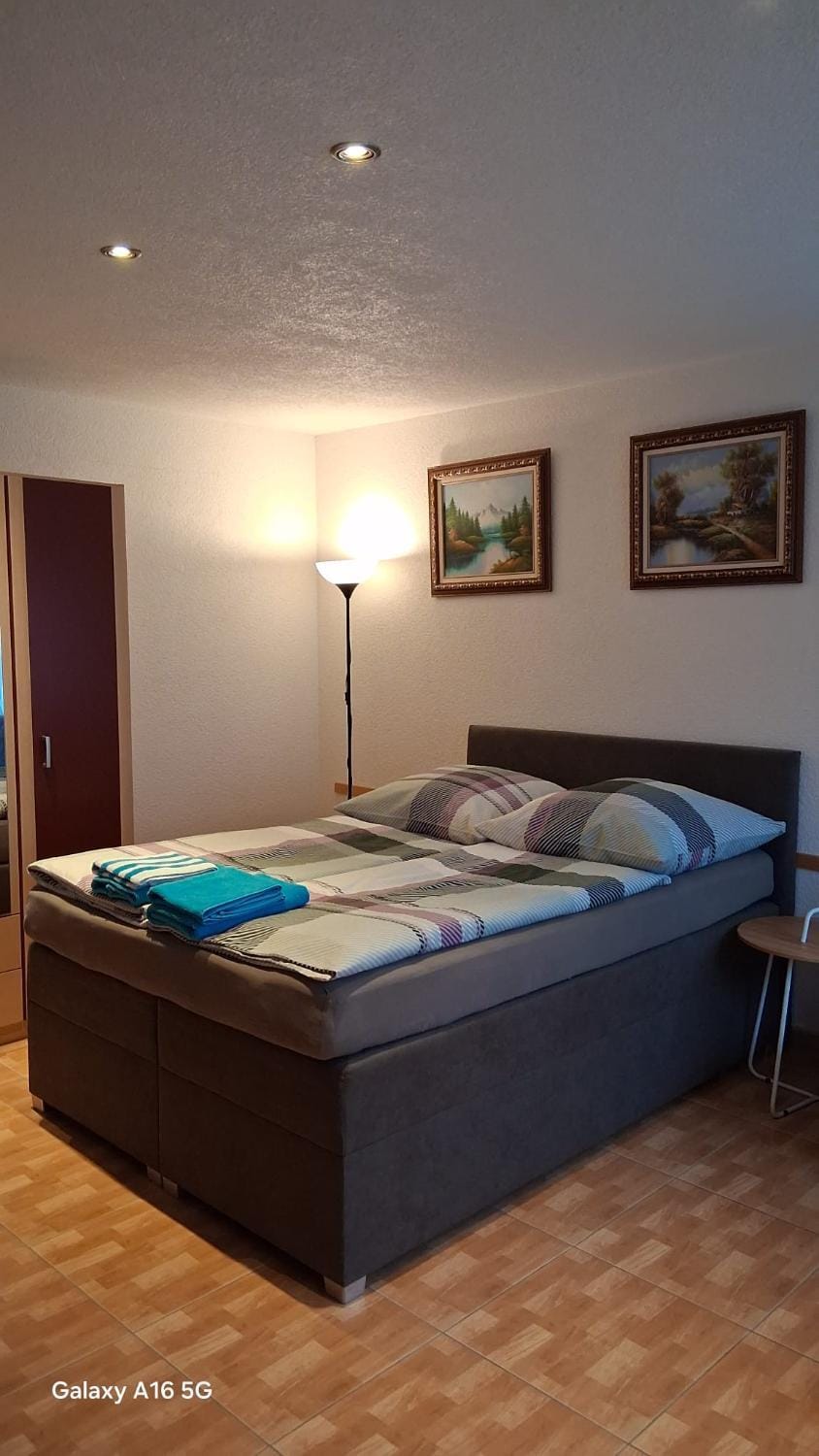 Bed, Living room, Photo of the whole room, Bedroom