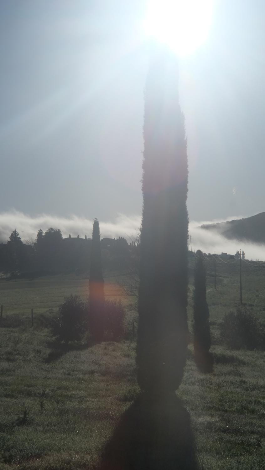 Rifugio Beccanella Apartment in Tuscany