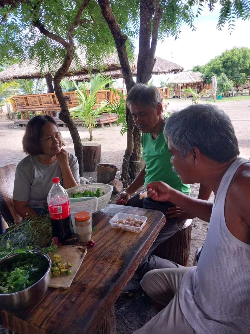 Beachfront Aircon Modern Kubo for 10 pax House in La Union