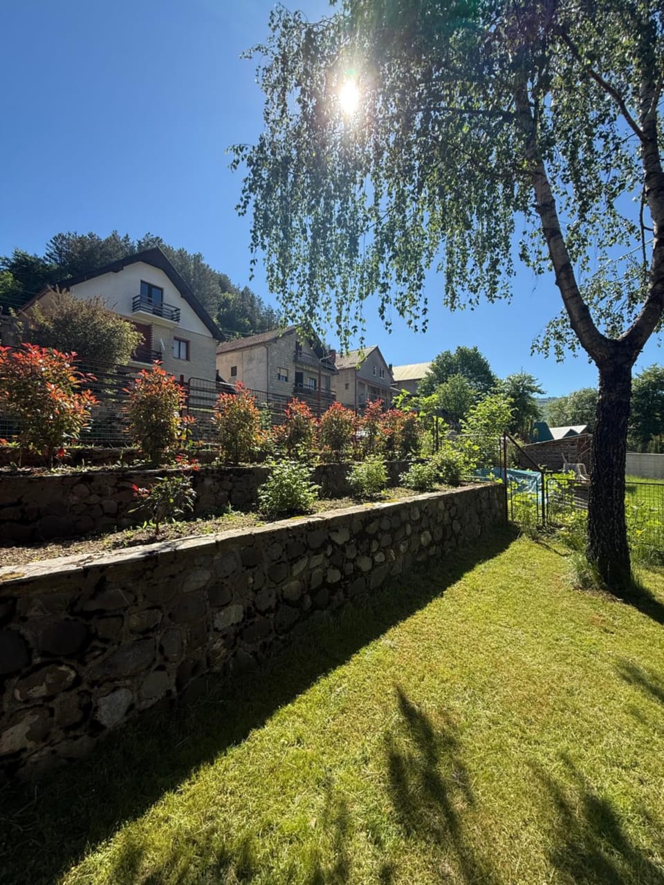 Garden view