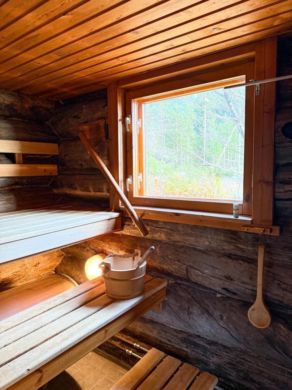 Cabin bear's hide Cabin in Rovaniemi