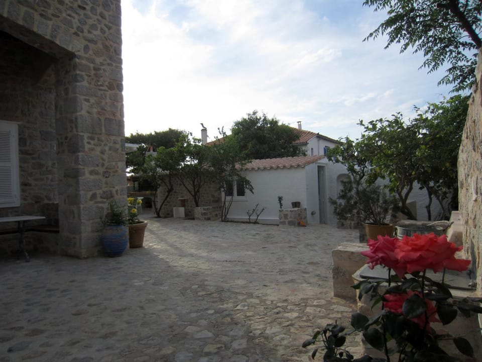 Patio, Garden