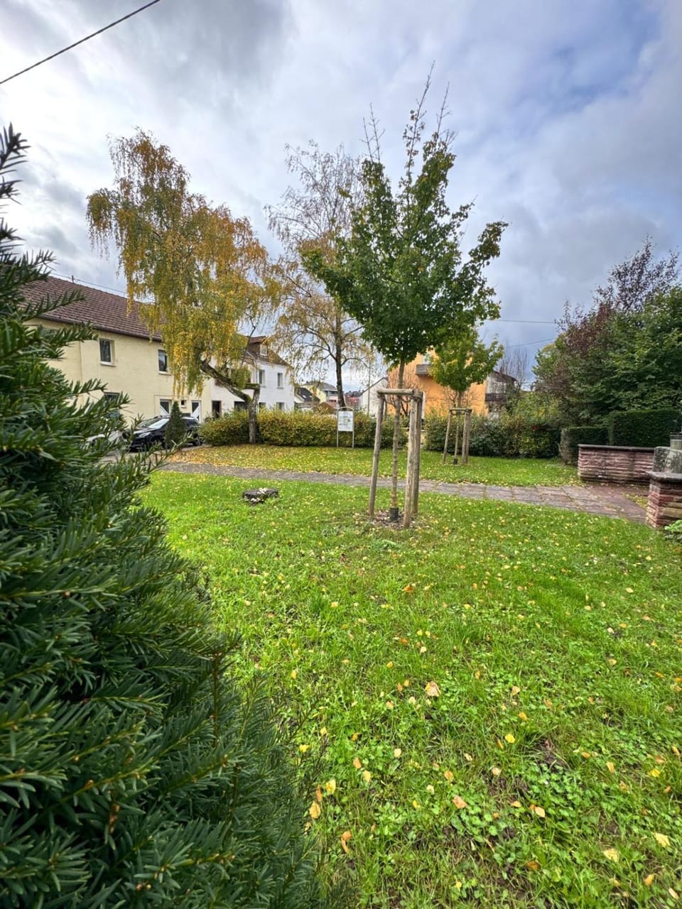 Natural landscape, Garden view