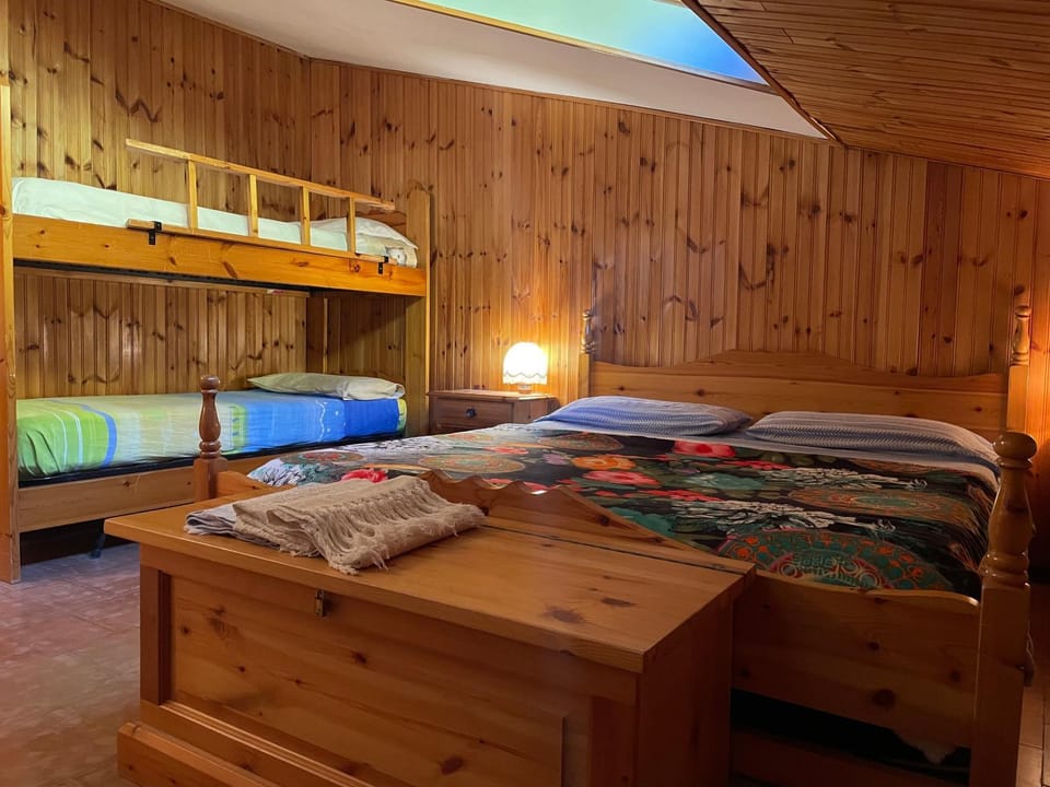 Bed, Photo of the whole room, Bedroom, bunk bed