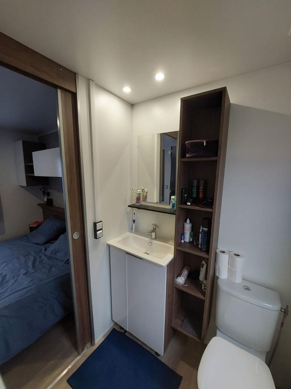 Toilet, Bathroom, Photo of the whole room, Bedroom