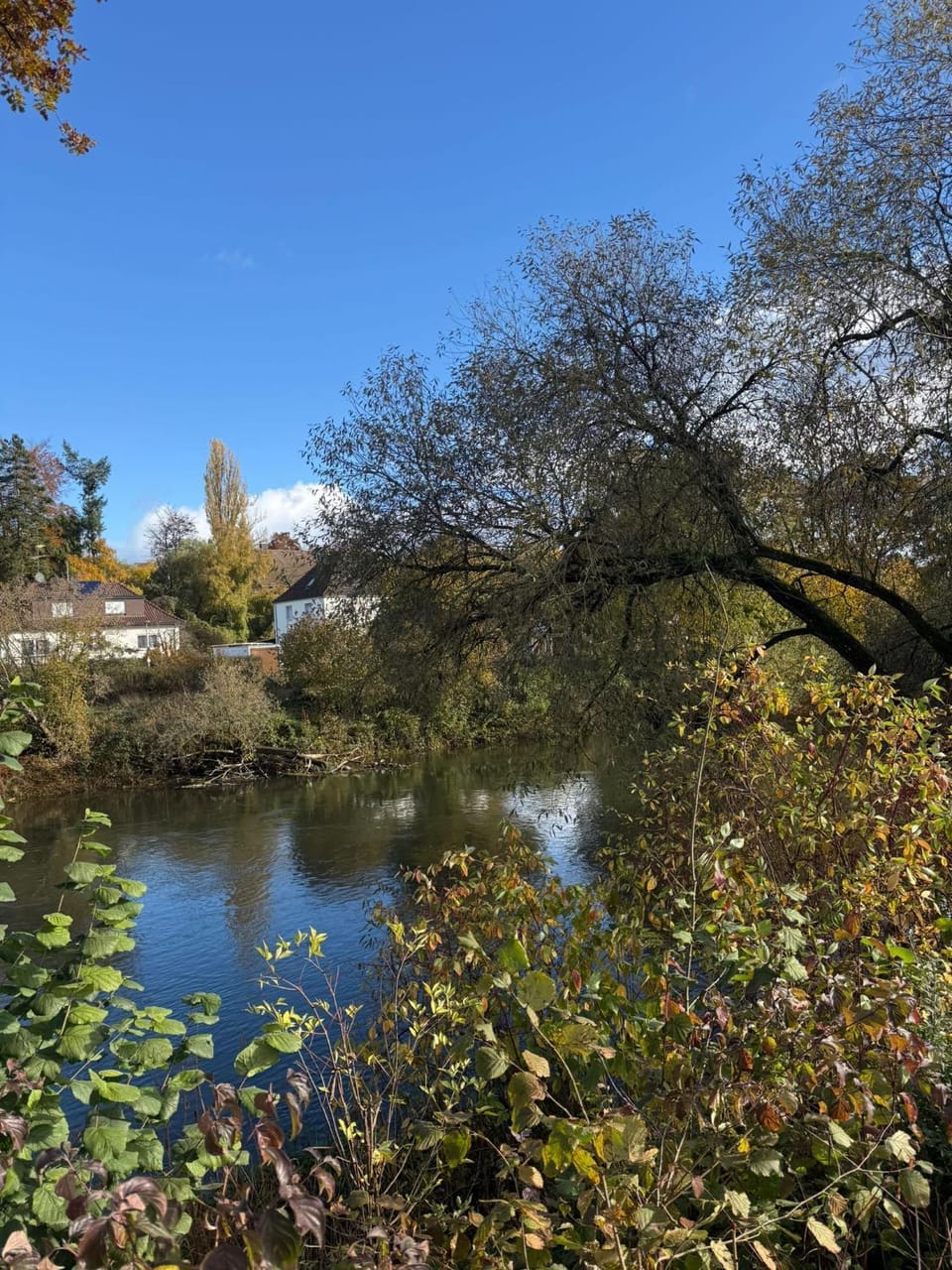 Natural landscape, River view