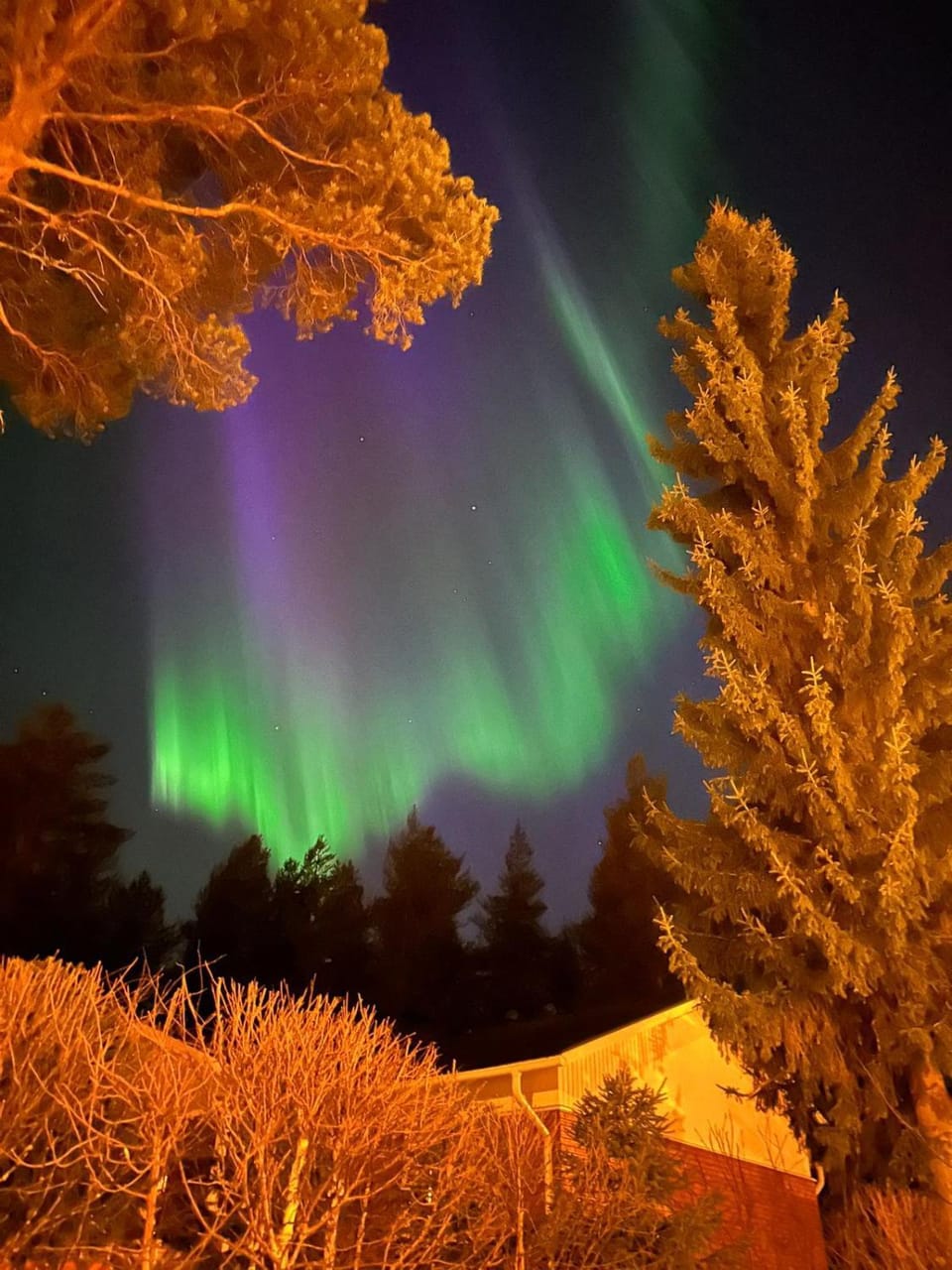 Night, Natural landscape