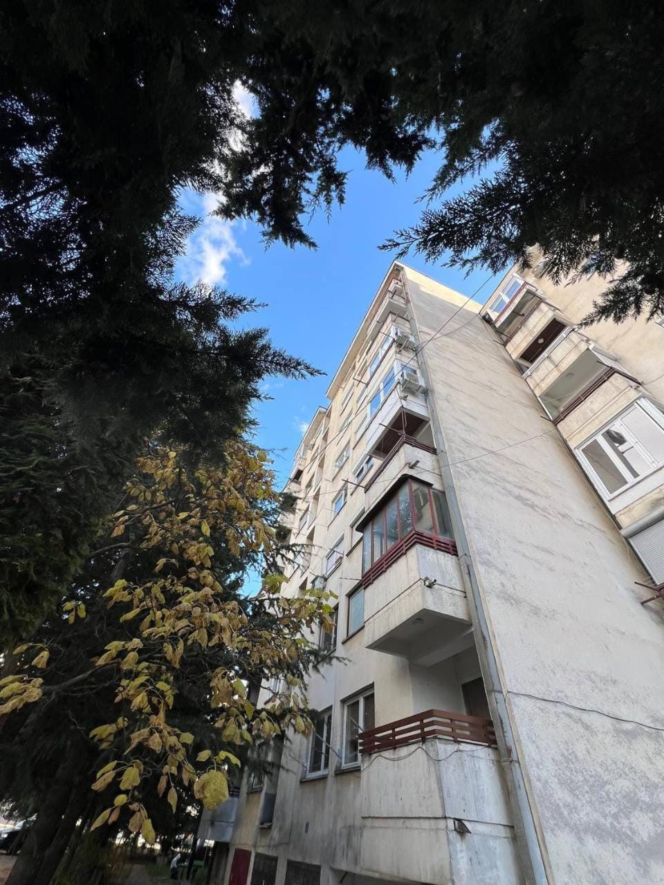 Property building, Day