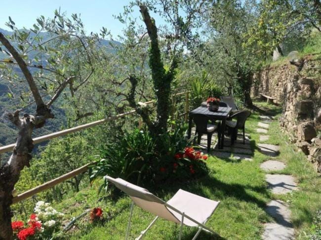 Day, People, Natural landscape, Garden, Garden view, Mountain view, group of guests