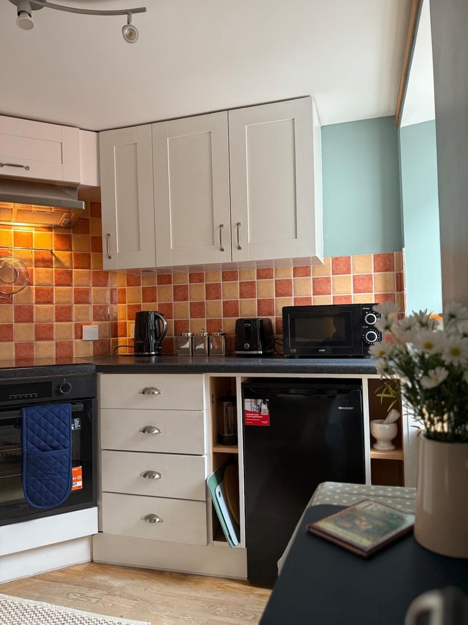 Kitchen or kitchenette, oven, stove