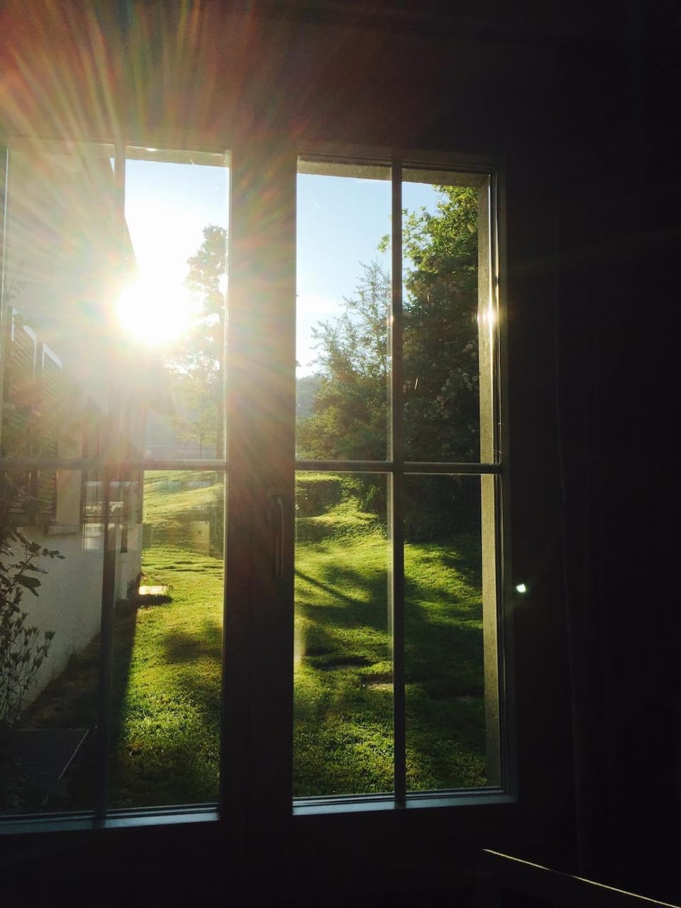 Day, Natural landscape, Garden, Garden view