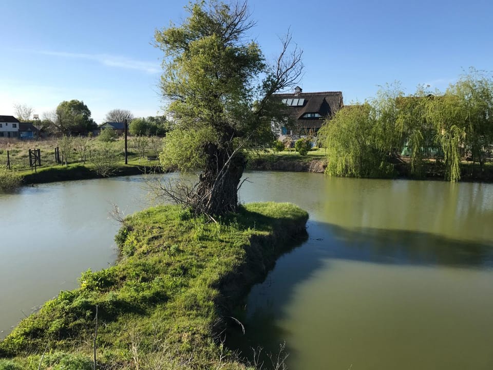 Coliba Vanatorilor Farm Stay in Romania