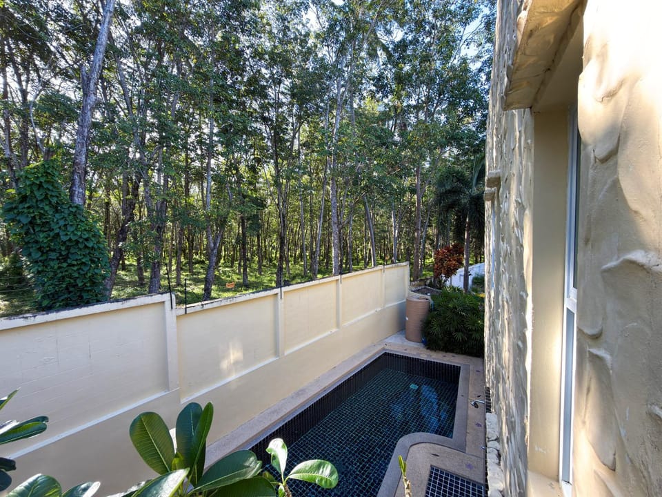 Day, Swimming pool, Swimming pool