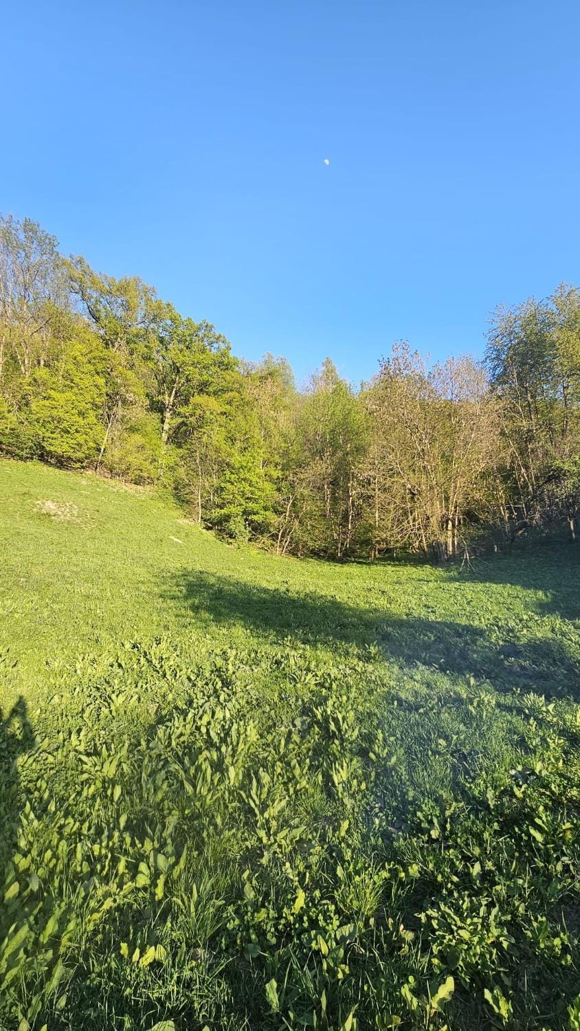Spring, Natural landscape, Hiking, Hiking