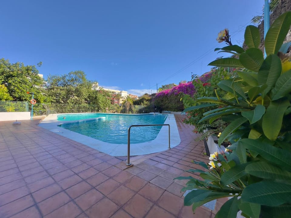 Restaurant/places to eat, Off site, Activities, Solarium, Guests, Guests, Pool view, Area and facilities, Swimming pool