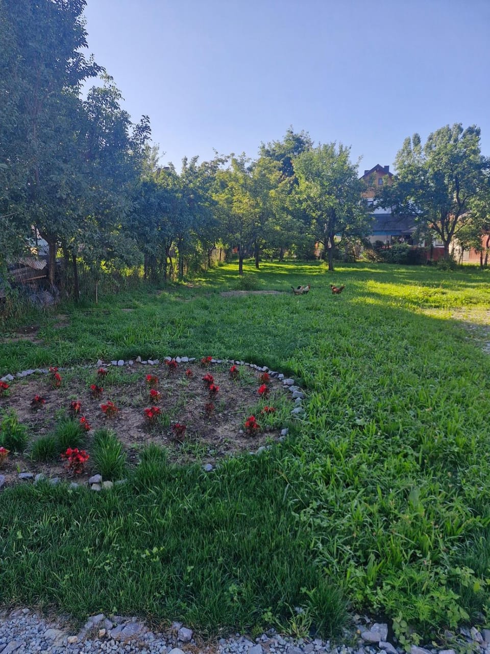 Casa Timiș House in Romania