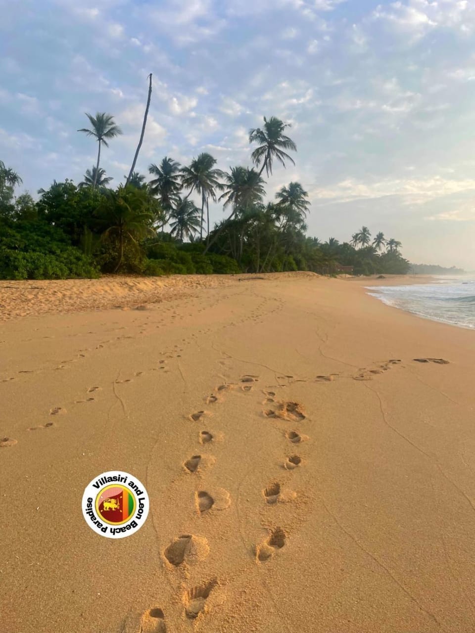 Villasiri and Leon Beach Paradise Resort in Tangalle