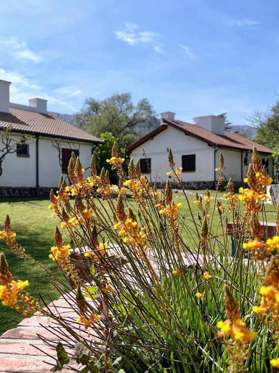 Garden, Garden view