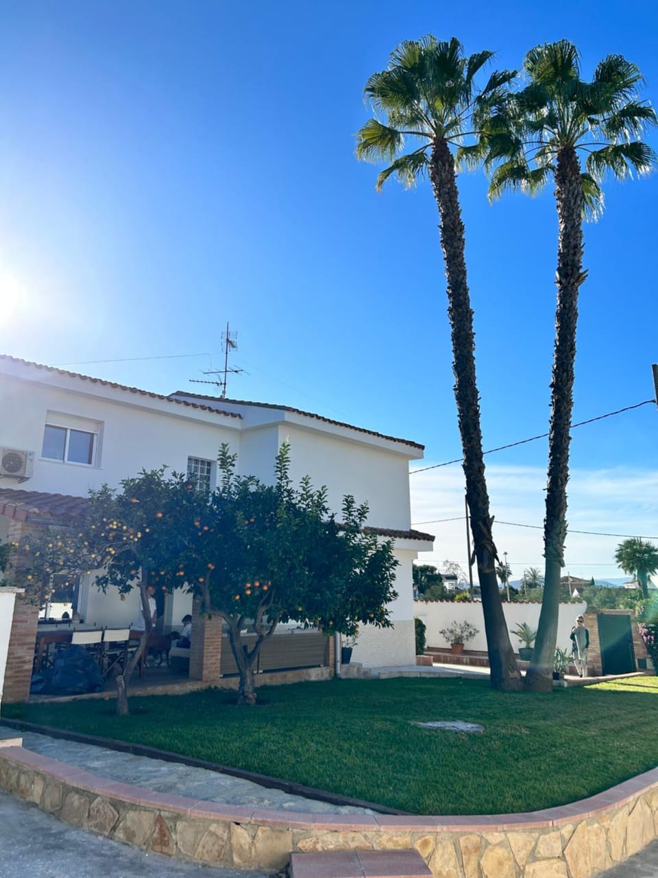 Property building, Garden view