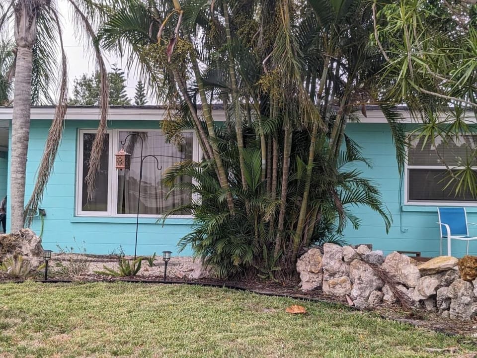 Property building, Garden view