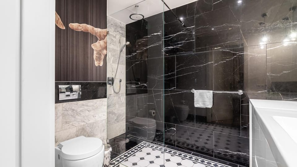 Shower, Toilet, Bathroom, towels