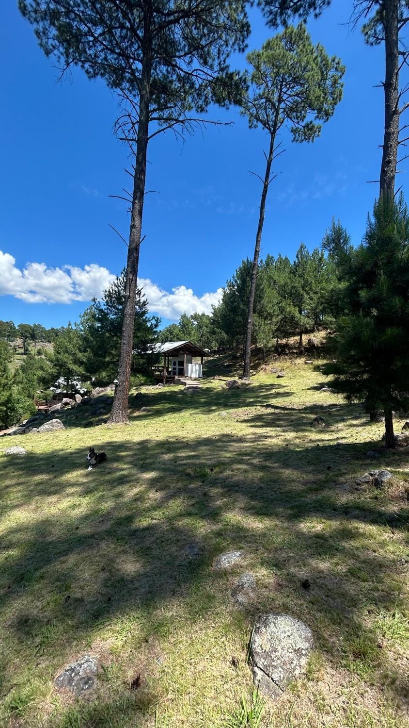 Cabaña de montaña con pileta en hermoso predio Chalet in Villa Yacanto