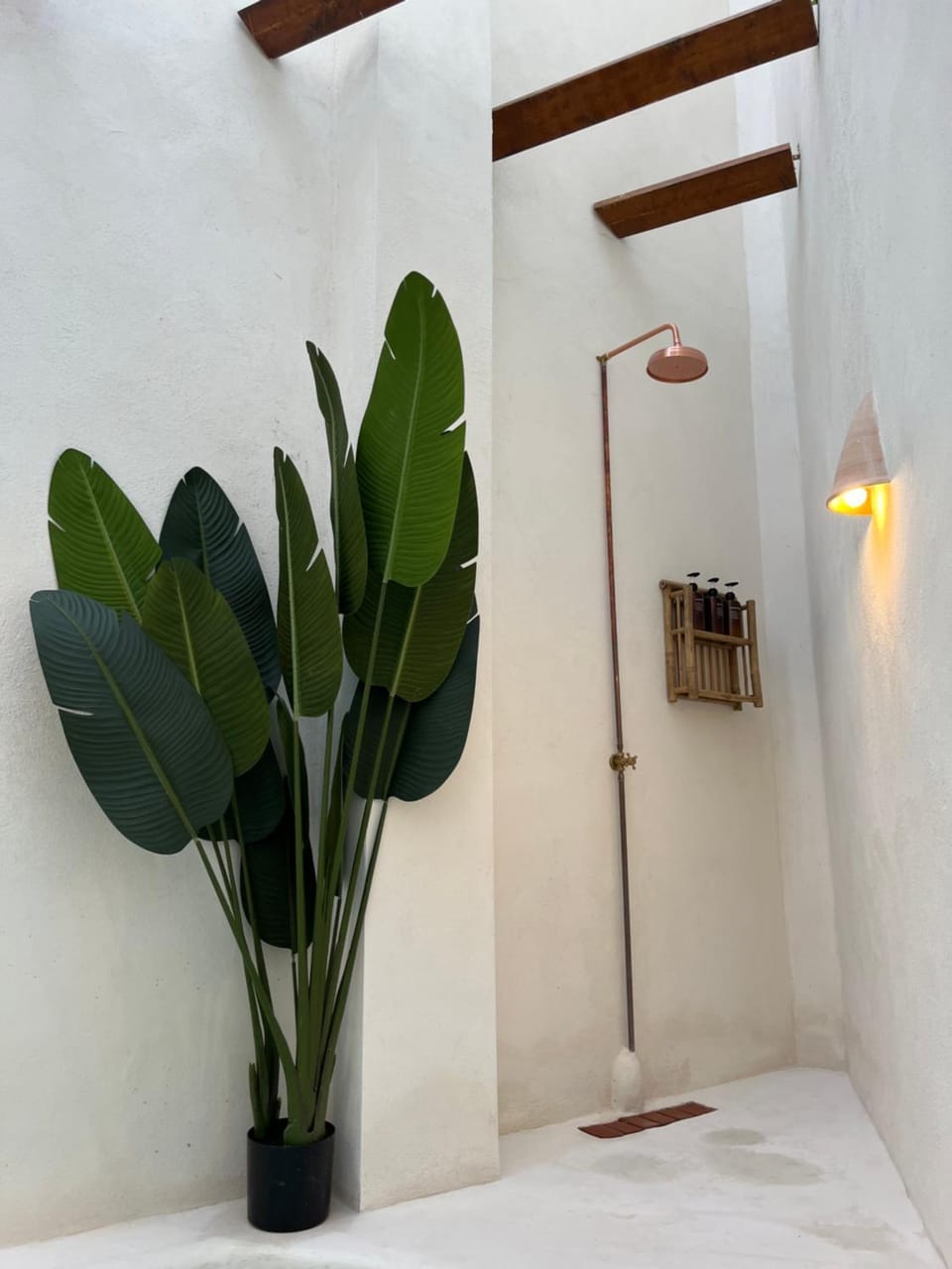 Shower