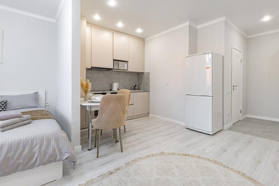 Тёплая и уютная студия в центре Левого берега Apartment in Kazakhstan