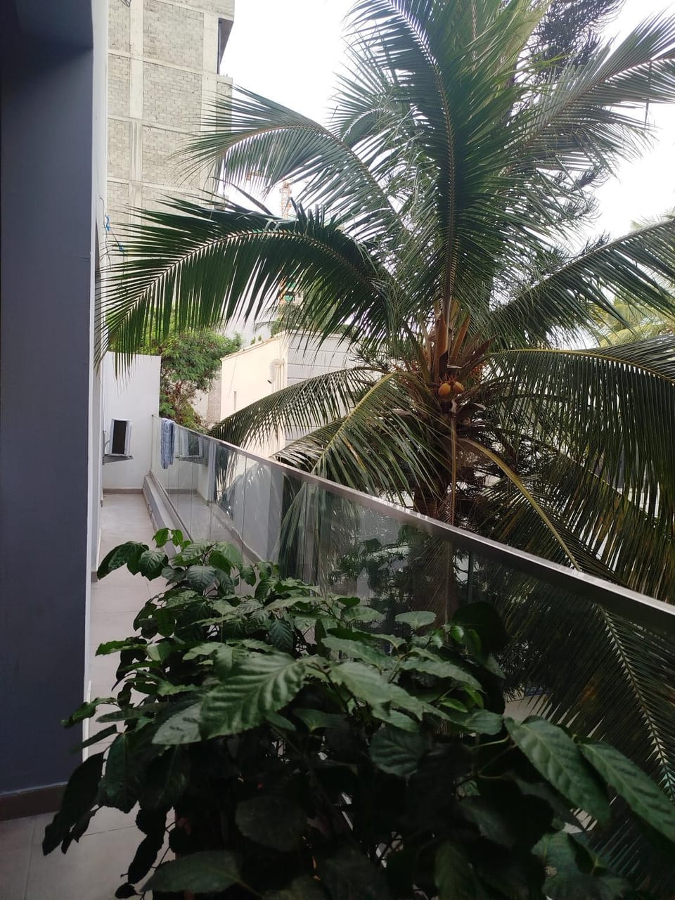Inner courtyard view