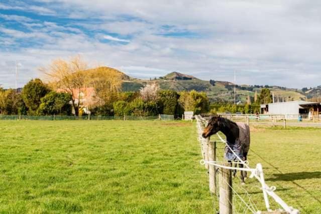 Horse-riding, Mountain view