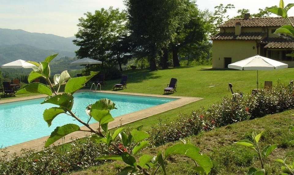 Day, Garden, Swimming pool