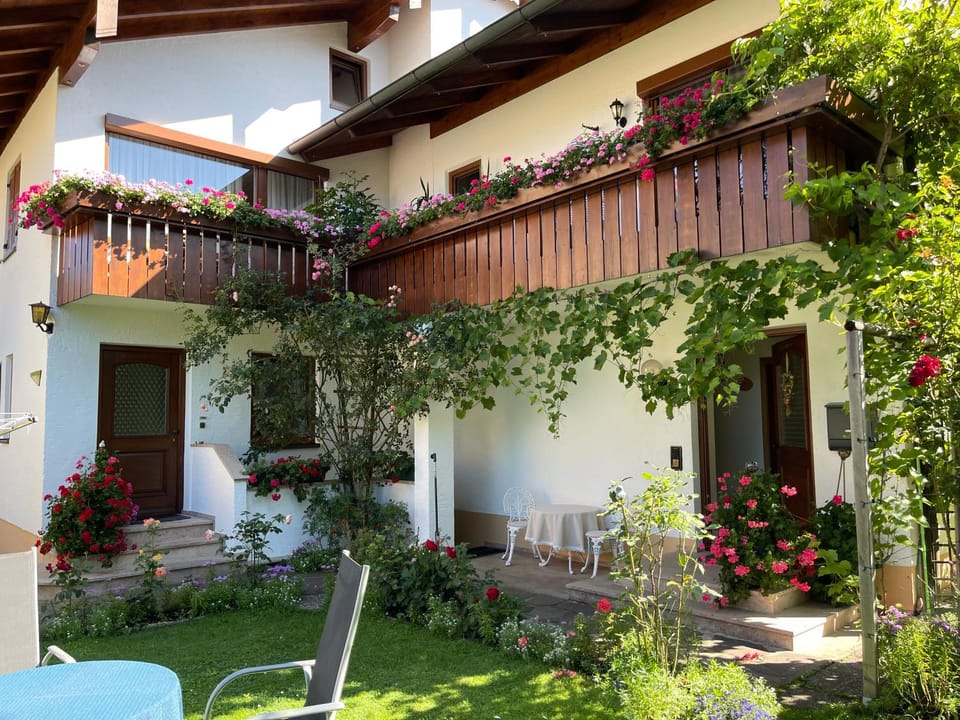 Property building, Patio, Facade/entrance, Garden