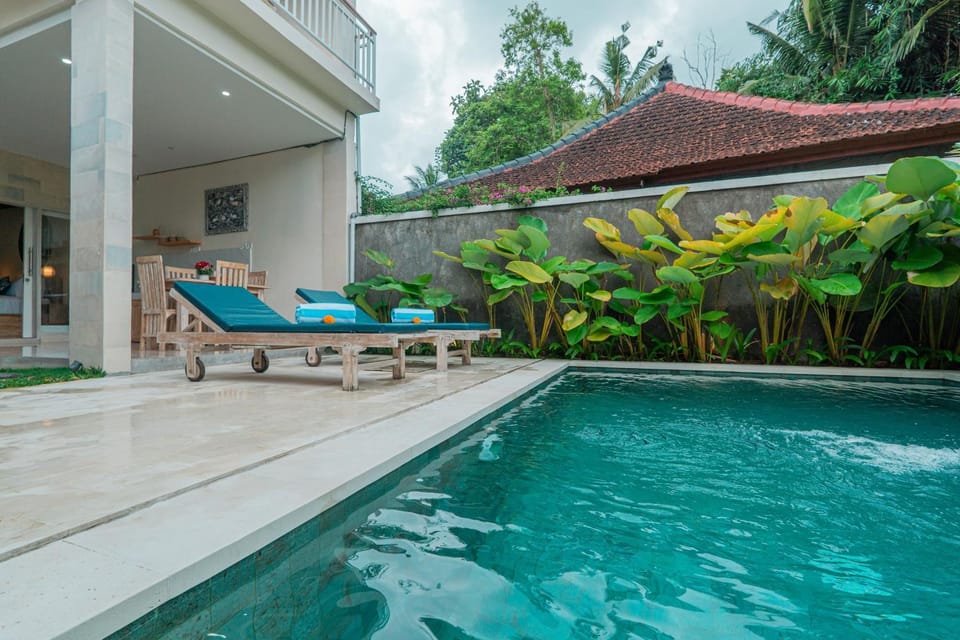 Patio, Day, Garden, Garden view, Pool view, Swimming pool