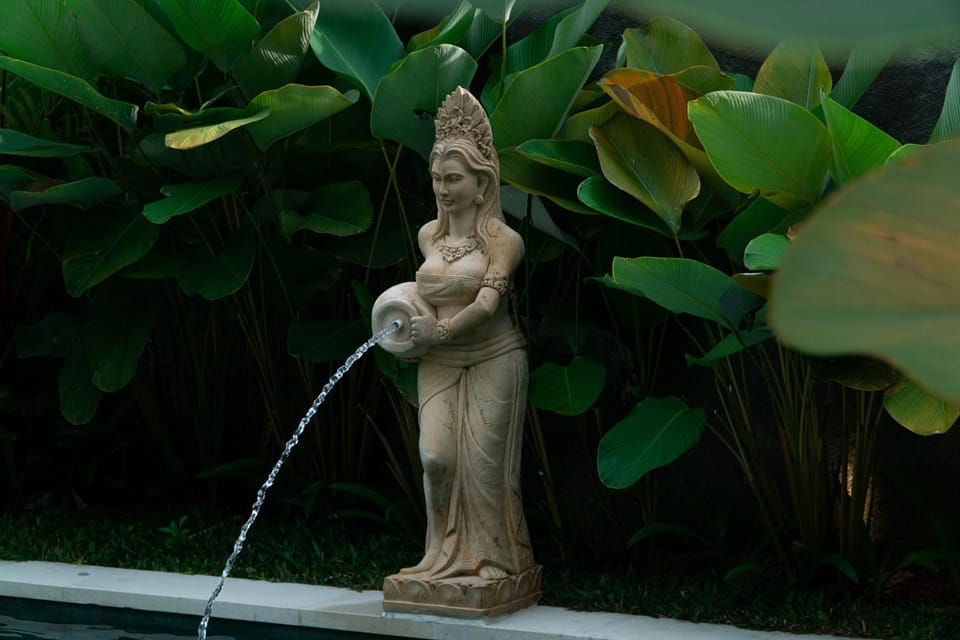 Garden, Swimming pool