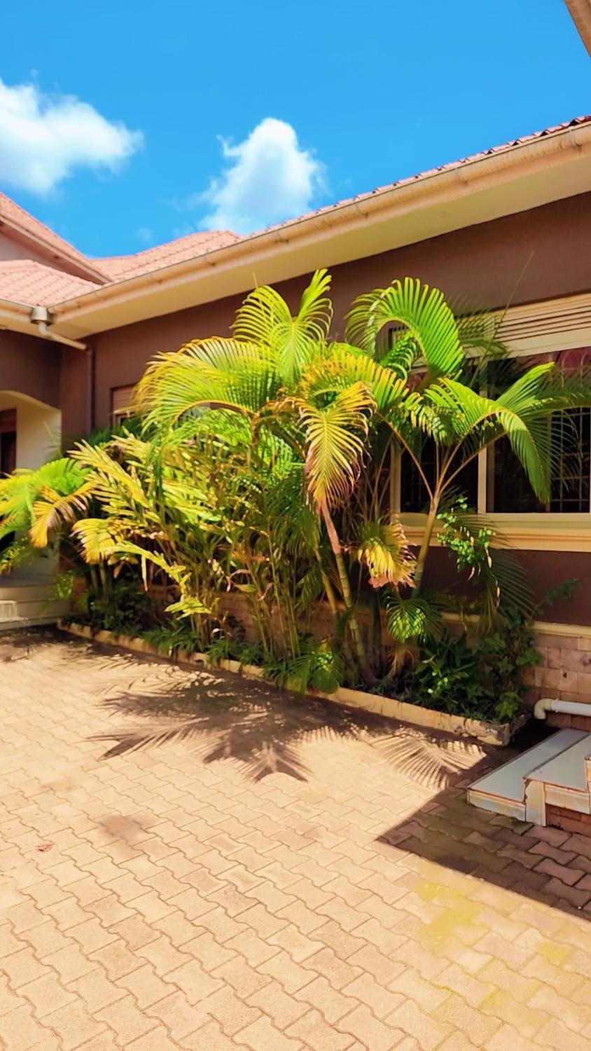 Property building, Garden view