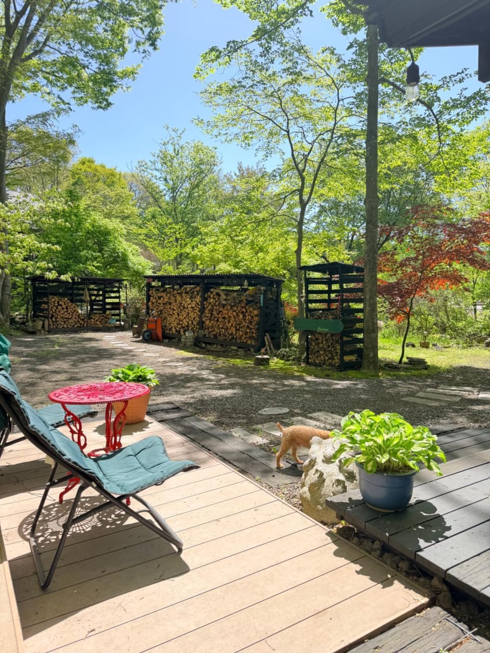 Foresta Karuizawa 6 "Glamping & Tent" for 8 people Luxury tent in Karuizawa