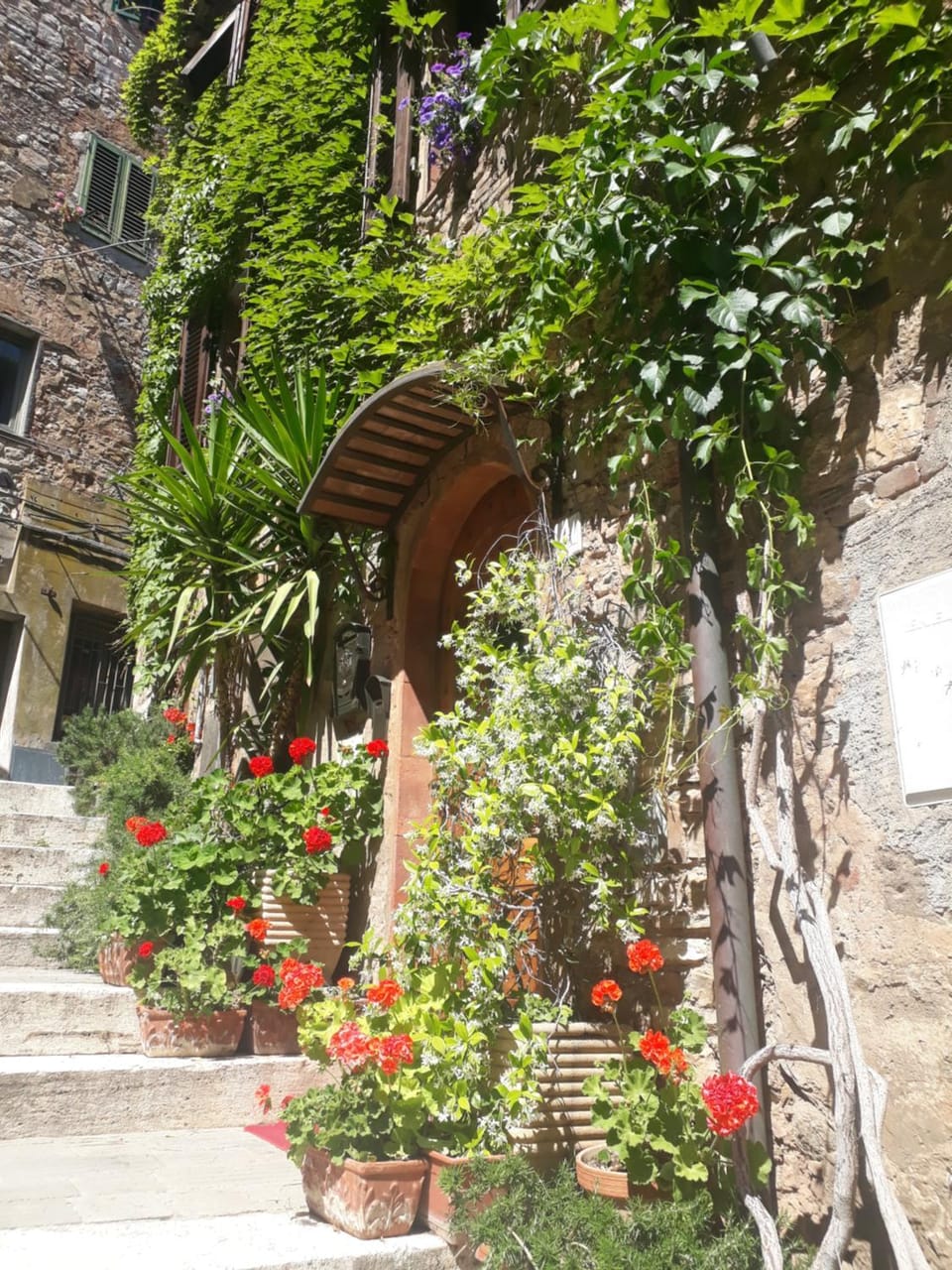 La Piazzetta Toscana B&B Bed and Breakfast in Campiglia Marittima