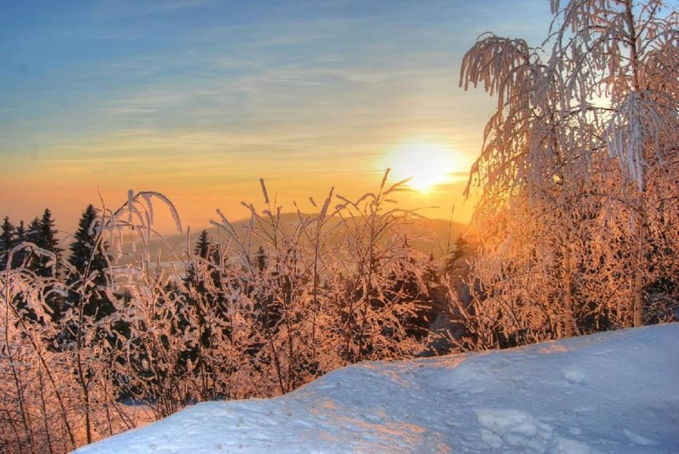 Natural landscape, Winter